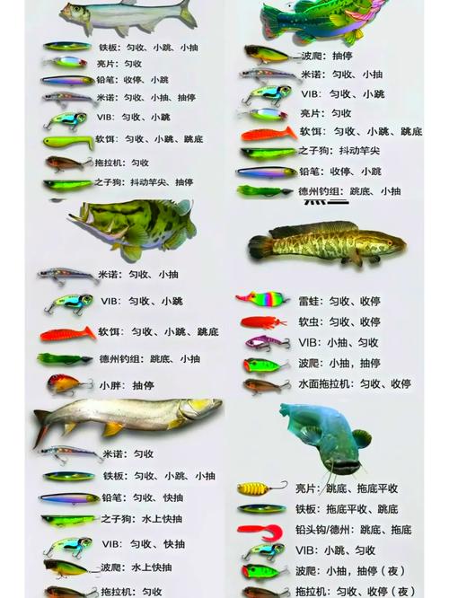 路亞釣法釣羅非用什么餌料_路亞釣法釣羅非魚的技巧分享_釣羅非魚用什么餌料