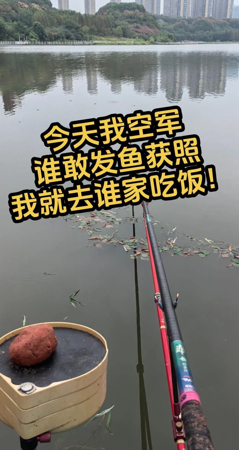 冬釣鯽魚調漂細節_鯽魚怎么釣_補窩技巧