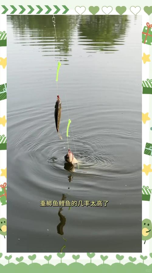 拋竿串鉤冬釣鯽魚釣組搭配_深秋初冬手竿釣鯽魚技巧_初冬野釣鯽魚技巧