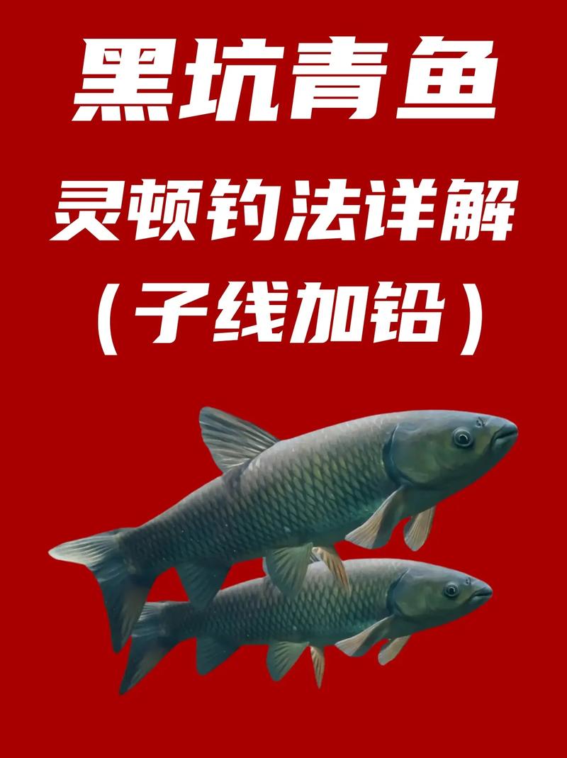 青魚釣點選擇_釣青魚技巧_釣青魚視頻
