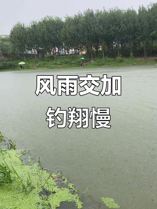晚上下雨白天好釣魚嗎_雨天釣魚技巧_不同季節雨天釣魚方法