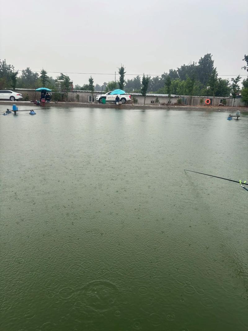 晚上下雨白天好釣魚嗎_雨天釣魚技巧_不同季節雨天釣魚方法