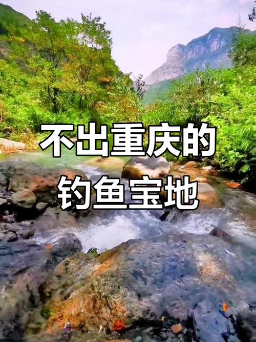 重慶釣魚的地方_免費野釣點推薦_重慶釣魚寶地