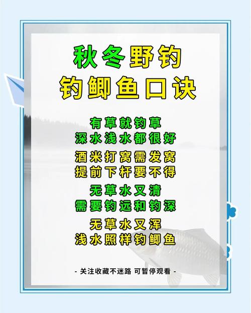 春季釣魚攻略_四季釣魚技巧_夏天釣魚技巧視頻