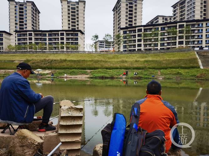 重慶大學城釣魚地點_大學城釣魚_重慶釣魚的地方