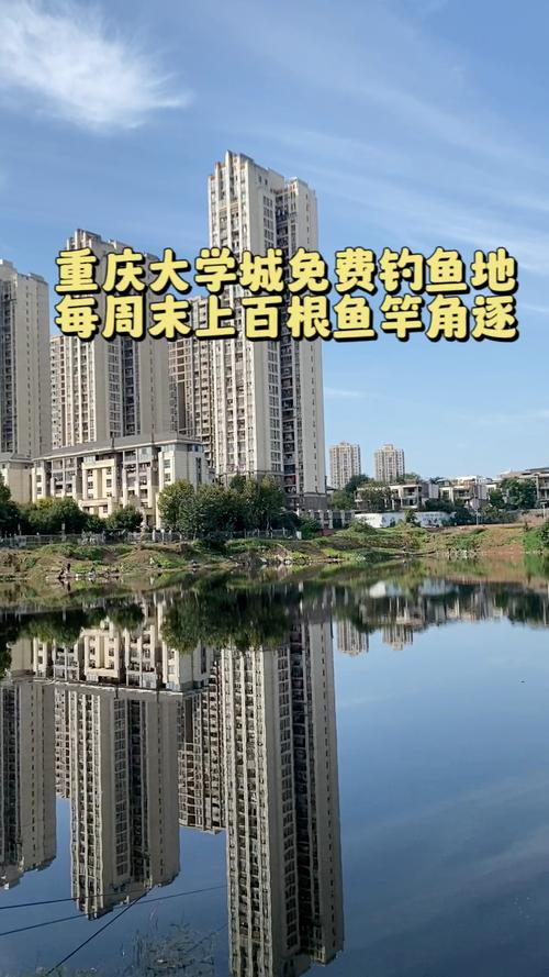 重慶大學城釣魚地點_大學城釣魚_重慶釣魚的地方