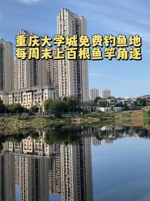 重慶釣魚的地方_重慶大學城釣魚地點_大學城釣魚