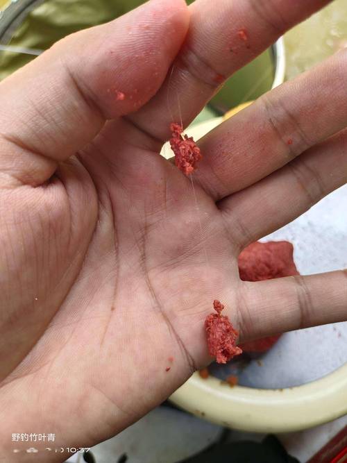 漢江釣魚技巧_漢江魚情分析_漢江釣魚技巧大全