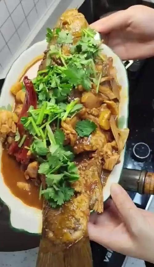 魚肉不腥不柴做法_燉魚三放四不放_醬燉鯉魚的家常做法