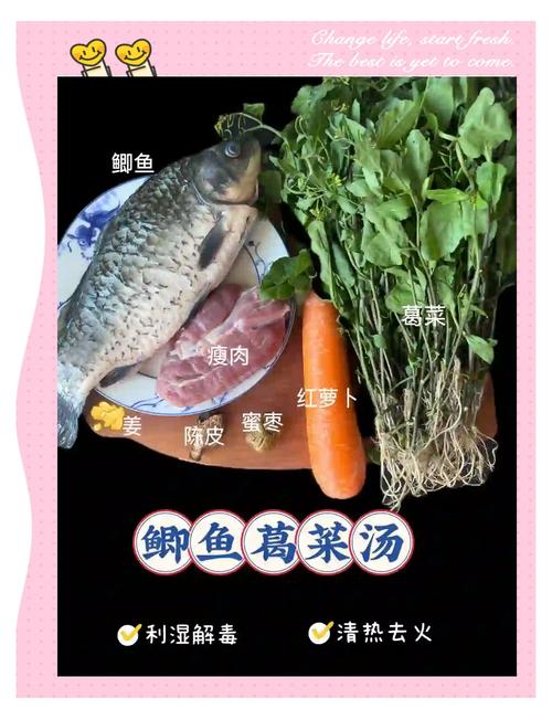 多吃魚好處_燉魚不能放的調料_醬燉鯉魚的家常做法