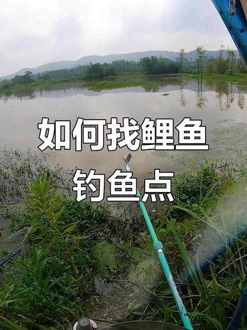 河道突然漲水怎么釣魚_雨后漲水怎么釣魚_初夏雨后釣魚技巧