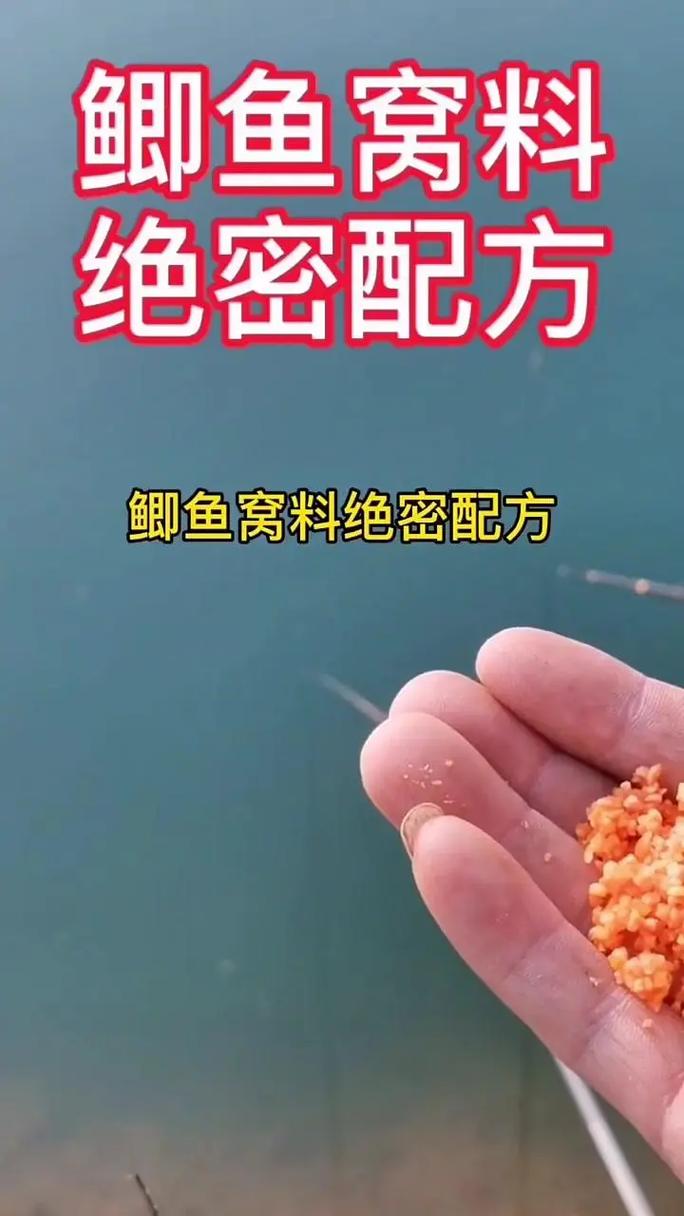 釣魚打窩料經典配方_夏季清淡型酒米制作_秋季高蛋白窩料配方