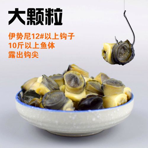 釣青魚用什么餌料_釣青魚用什么餌最好_釣青魚打窩技巧