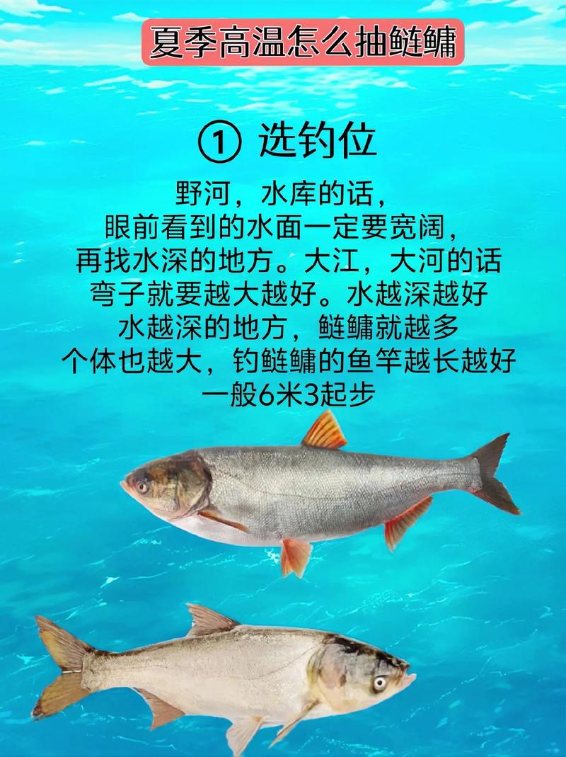 初夏野釣鰱鳙技巧_鰱鳙餌料窩料選擇_初夏河流用什么餌料釣魚呢