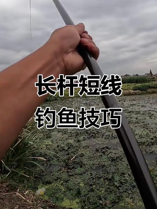 傳統釣七星漂釣法_釣魚長竿短線七星漂_長竿短線七星漂釣大鯽開竿上鯉魚必看