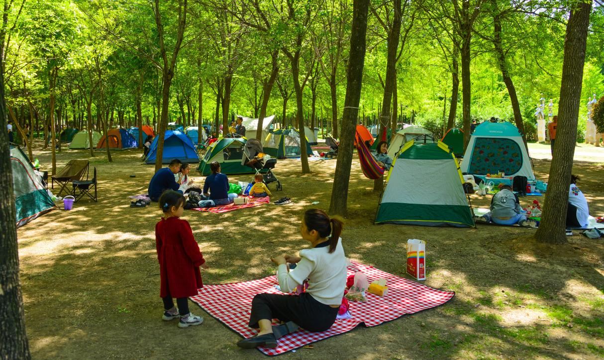 濟南免費野外垂釣_濟南公園露營_濟南植物園露營