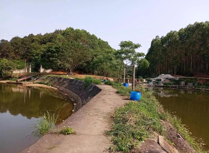 南寧附近哪里有那個水庫好釣魚免費的_南寧市周邊水庫釣魚_南寧那個水庫釣得魚多