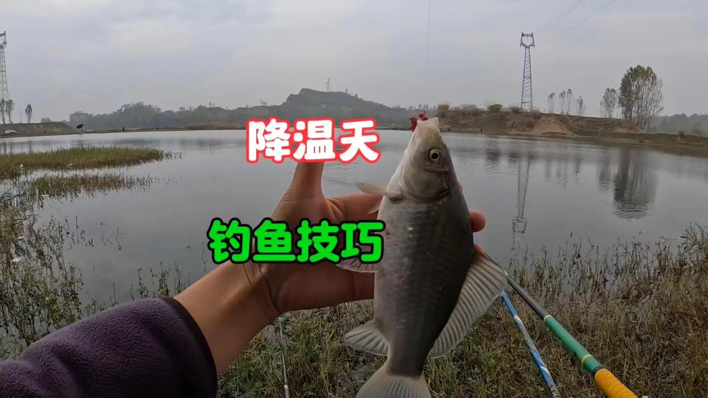 夏天釣魚技巧_釣浮不釣底技巧_釣魚釣魚技巧
