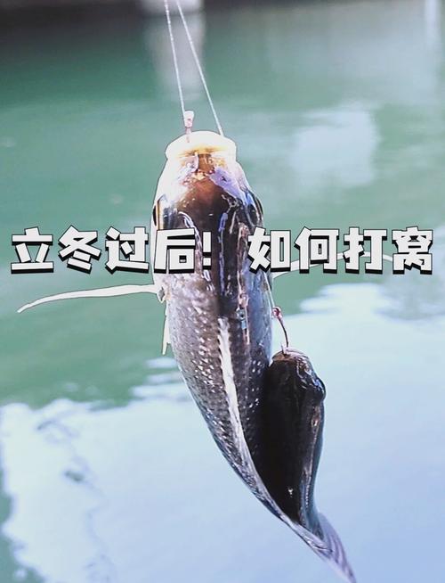 江河冬釣選位攻略_冬季的釣魚技巧和用餌_冬季釣魚打窩技巧