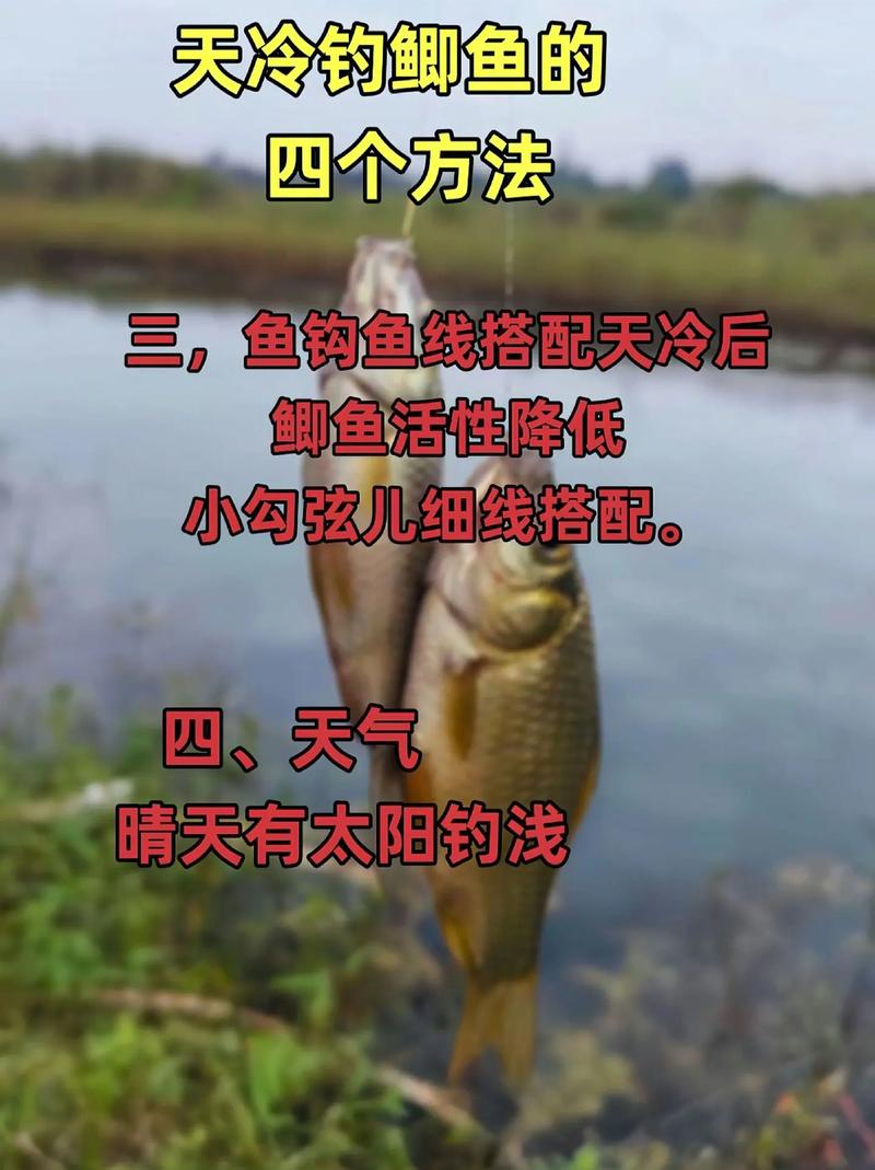 冬季鯽魚釣位選擇_冬季野釣鯽魚技巧_冬季野釣鯽魚