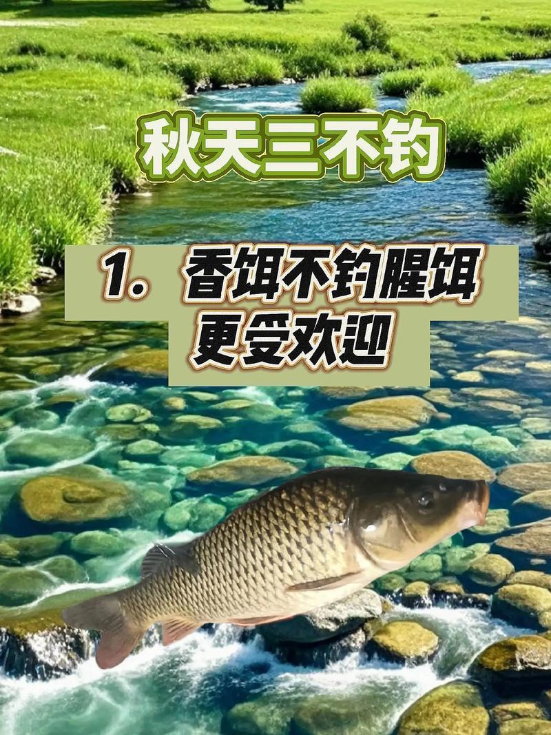 初秋釣魚技巧_秋季釣魚技巧_釣魚論壇之野釣