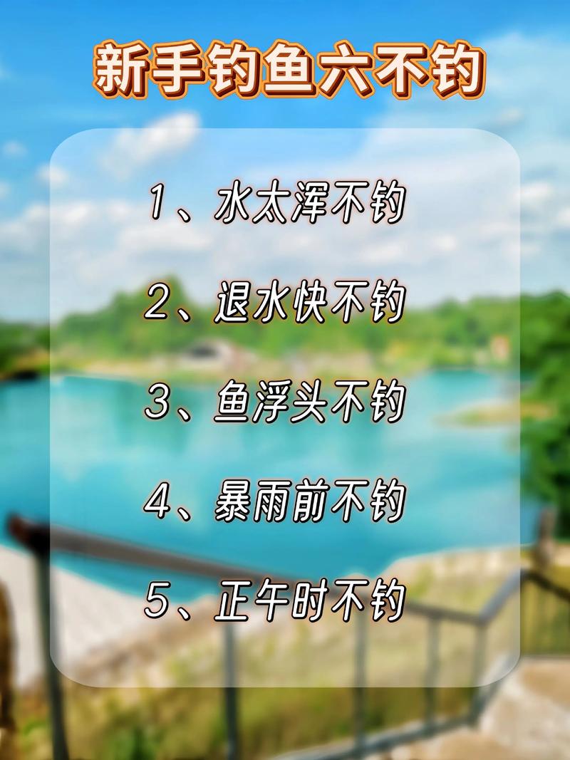 新手釣魚技巧全攻略_釣魚經驗分享_新手釣魚技巧