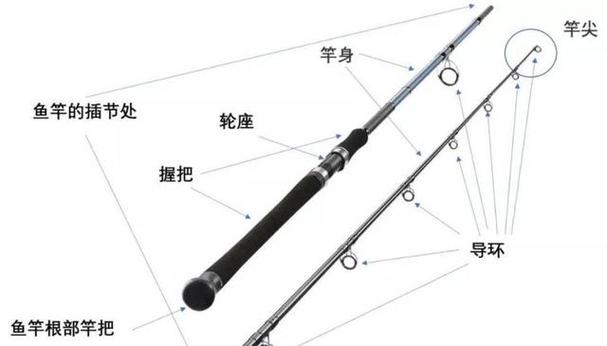 魚竿種類特點詳解_新手魚竿選購方法_新手買海竿還是磯竿