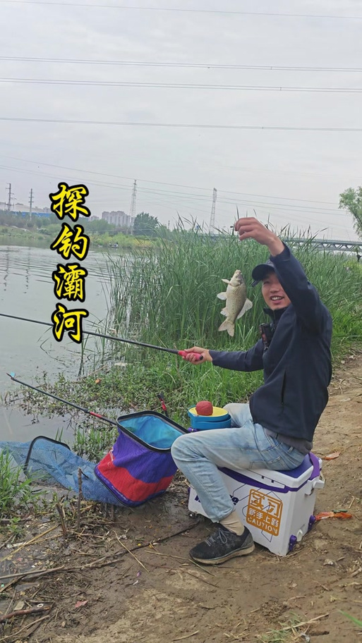 灞河釣點分布_灞河魚類資源_西安免費野釣地點