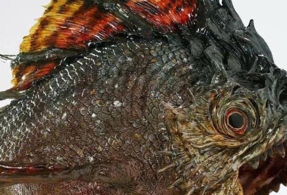 巨型非洲食人魚_巨型食人魚發現 600萬年前大型食人魚 咬合力研究方法