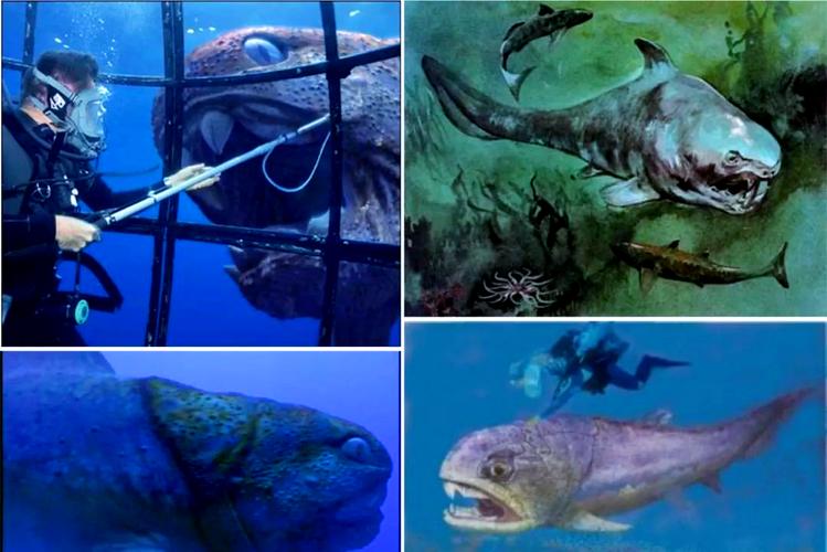 巨型食人魚發現 600萬年前大型食人魚 咬合力研究方法_巨型非洲食人魚