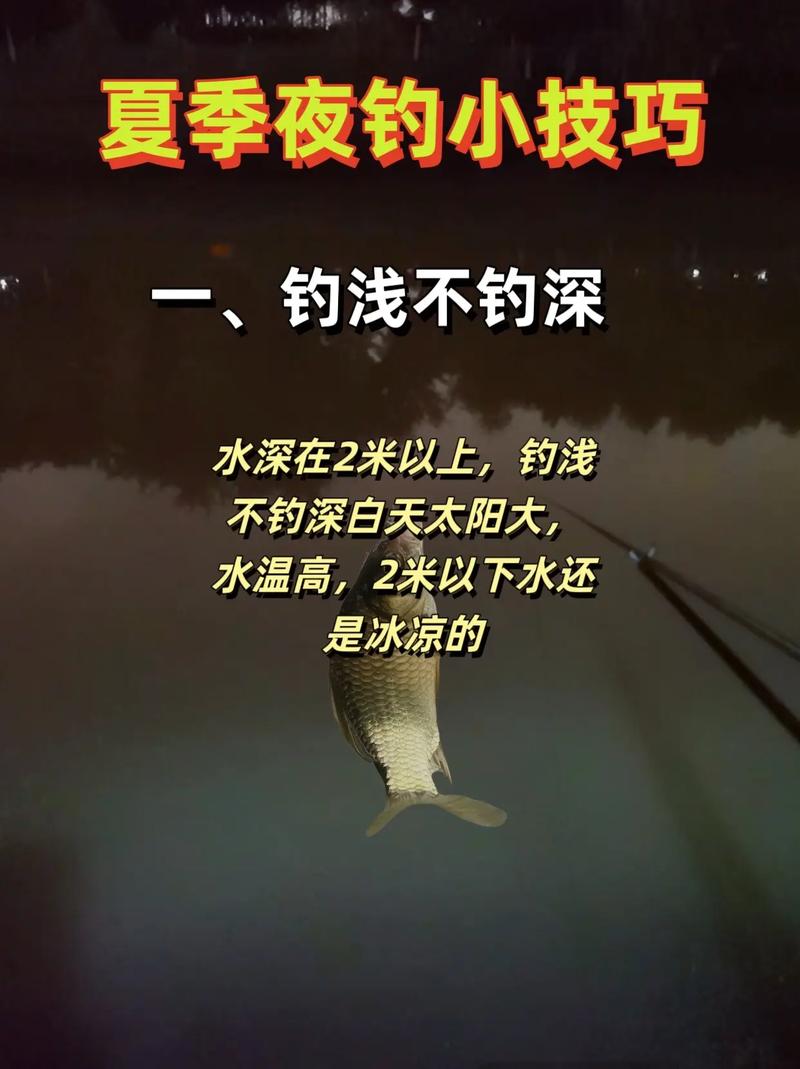 釣魚技巧全攻略_夜釣技巧_夜釣魚類開口期