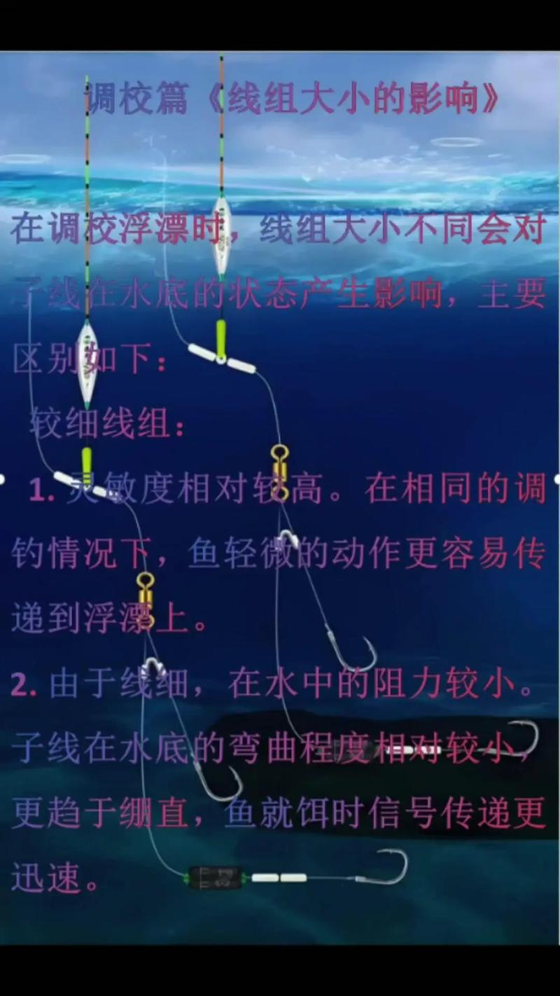 釣魚視頻技巧教學_釣魚技巧視頻_釣魚視頻教程