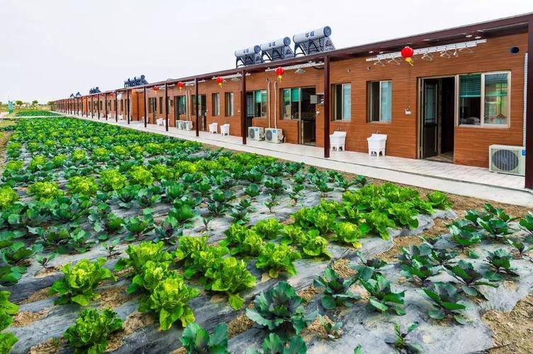 泰州靖江市農家樂大全_泰州淮揚菜美食攻略_泰州水鄉風光