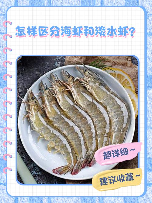 河蝦是什么動物_河蝦與海蝦區別_青蝦與對蝦對比