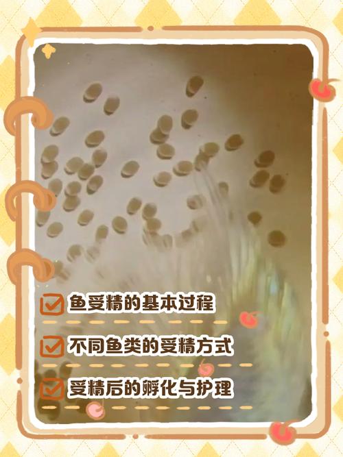 科學怪魚_科學怪魚國語免費_科學怪魚在線觀看免費完整版