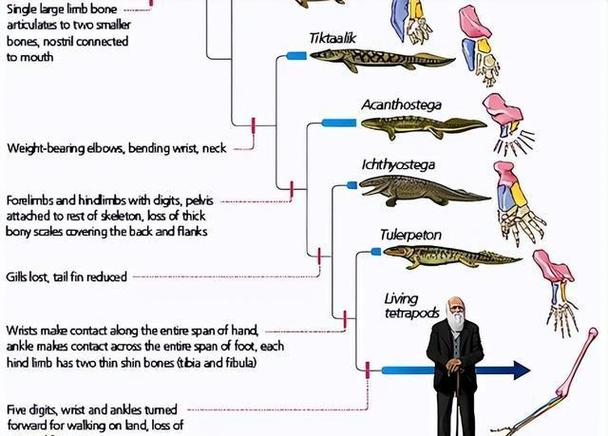 科學怪魚在線觀看免費完整版_科學怪魚_科學怪魚國語免費