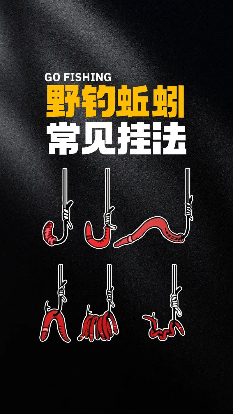 蚯蚓掛鉤方法_釣魚怎么掛餌_紅蟲上餌技巧