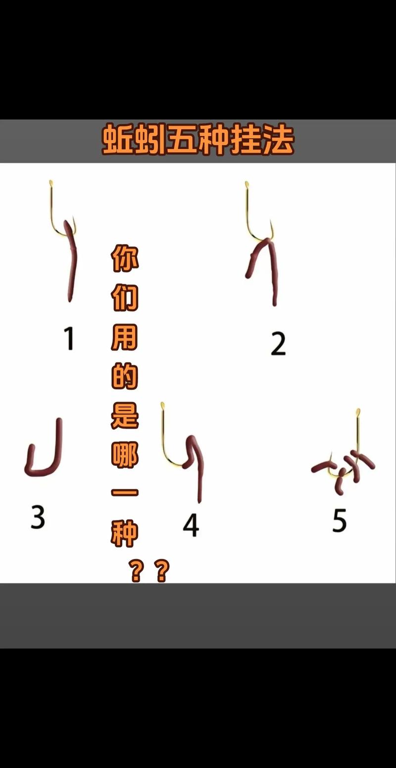 釣魚怎么掛餌_蚯蚓掛鉤方法_紅蟲上餌技巧