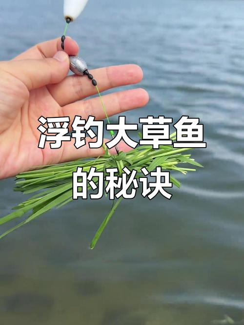 公認釣鳊魚草魚最快的釣法?_提高鳊魚上鉤率雙鉤釣法_釣鳊魚一線雙鉤