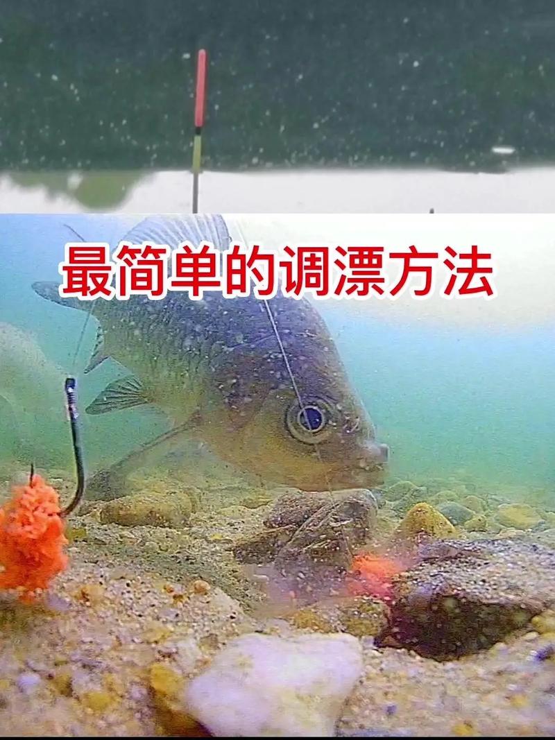 野釣鯽魚調一目釣二目_調平水釣二目_臺釣調漂技巧