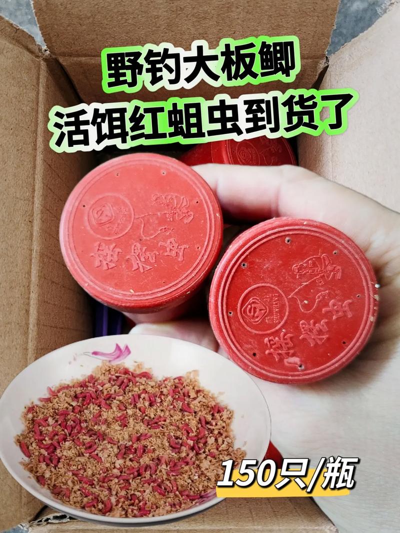 紅餌對魚吸引力_野釣鯽魚商品魚餌配方_釣魚餌料紅色成分