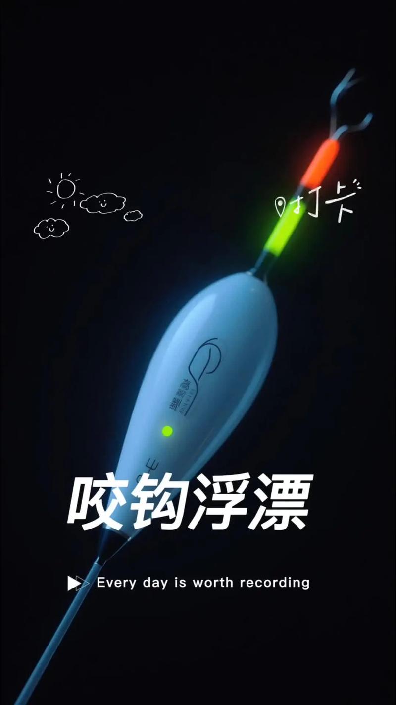 會變色夜光漂 夜釣智能浮漂 日夜兩用鯽魚漂_釣魚夜光浮漂