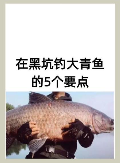 黑坑為什么禁用花生釣青魚_水煮花生釣鯉魚_花生餌料禁用