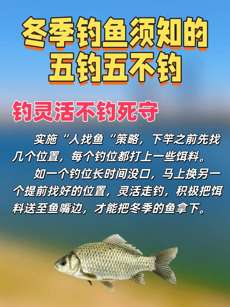 冬季釣魚技巧_野釣技巧_冬季釣鯽魚餌料