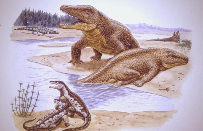 鱷魚寵物養殖_恒河鱷是什么動物_鱷魚進化史