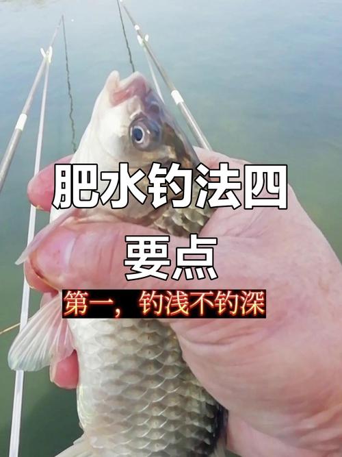 肥水釣魚餌料選擇_肥水釣魚釣浮不釣深_關于肥水釣魚的一點經驗