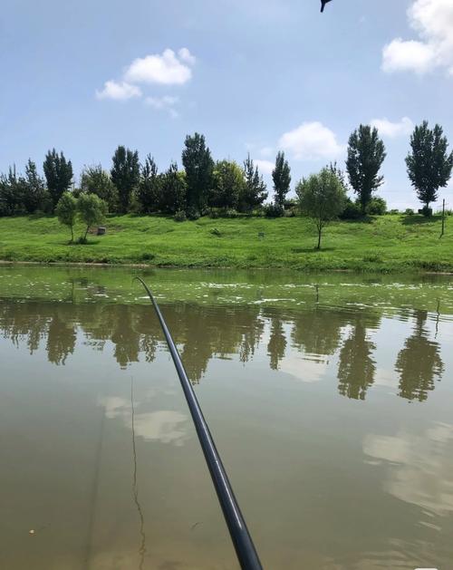 天津東麗區釣魚網野釣_天津東麗區野釣地點_天津東麗區野釣
