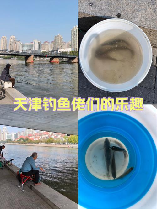 天津釣魚網論壇野釣_天津海河釣魚_天津釣魚文化