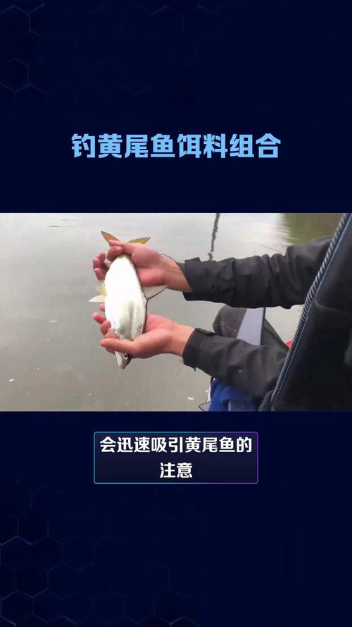 水庫釣黃尾魚技巧_黃尾鲴臺釣方法_水庫拉餌釣魚技巧