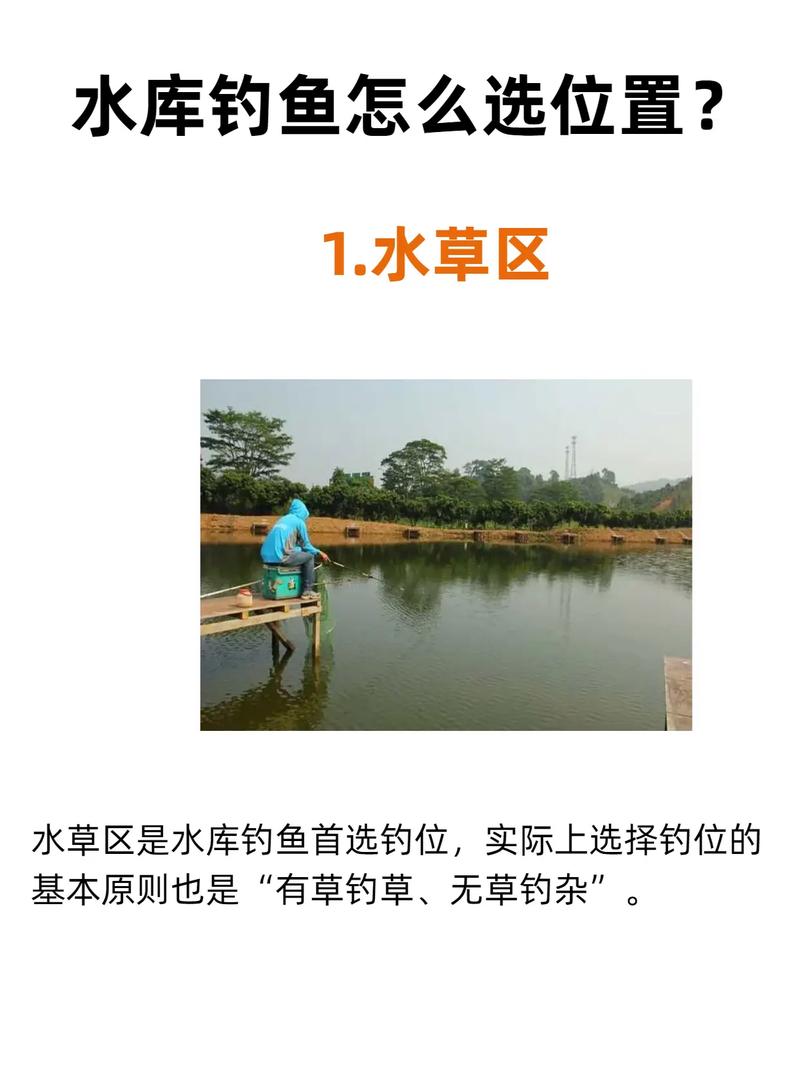 秋釣邊策略_秋季海竿水庫釣魚技巧_深秋釣魚技巧